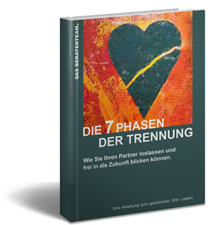 beraterteam-7 phasen der trennung